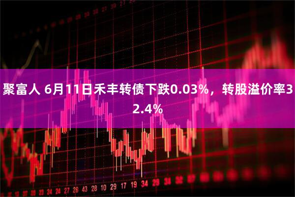 聚富人 6月11日禾丰转债下跌0.03%，转股溢价率32.4%